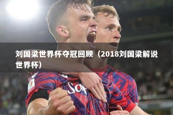 刘国梁世界杯夺冠回顾（2018刘国梁解说世界杯）