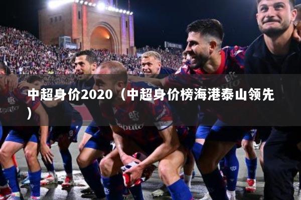 中超身价2020(中超身价榜海港泰山领先)
