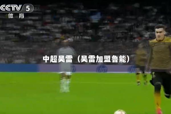 中超吴雷（吴雷加盟鲁能）