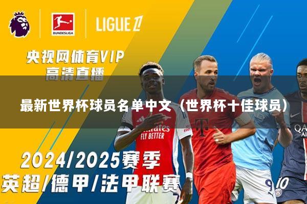 最新世界杯球员名单中文（世界杯十佳球员）