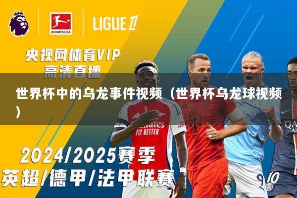 世界杯中的乌龙事件视频（世界杯乌龙球视频）