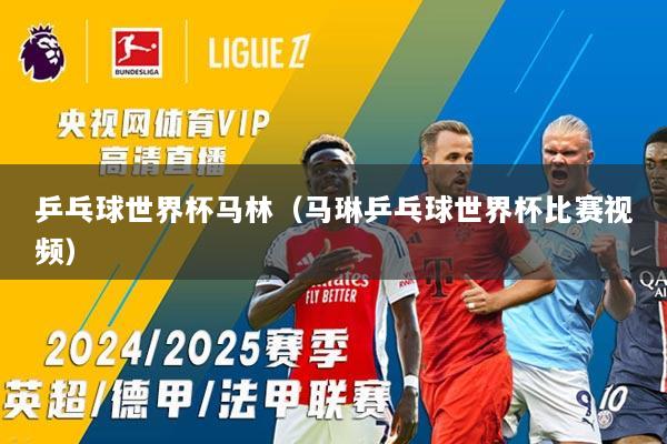 乒乓球世界杯马林（马琳乒乓球世界杯比赛视频）