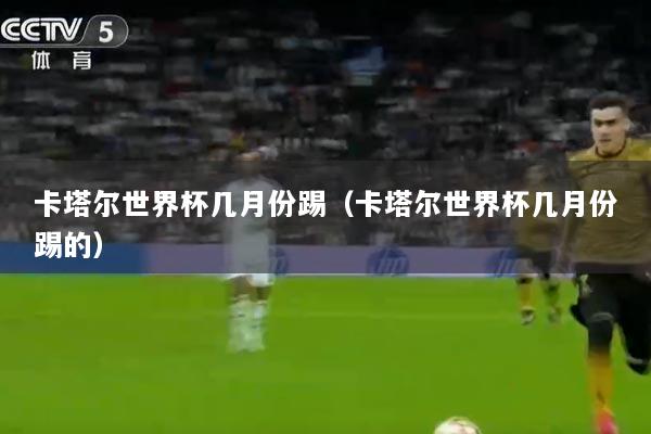 卡塔尔世界杯几月份踢(卡塔尔世界杯几月份踢的)