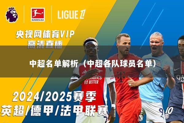 中超名单解析（中超各队球员名单）